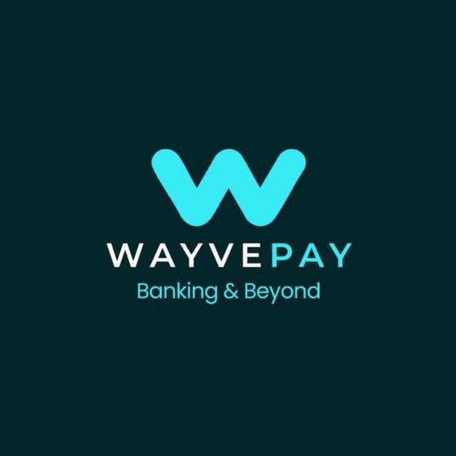 WayvePay hits 100,000 customers, expands digital banking – Daily Trust