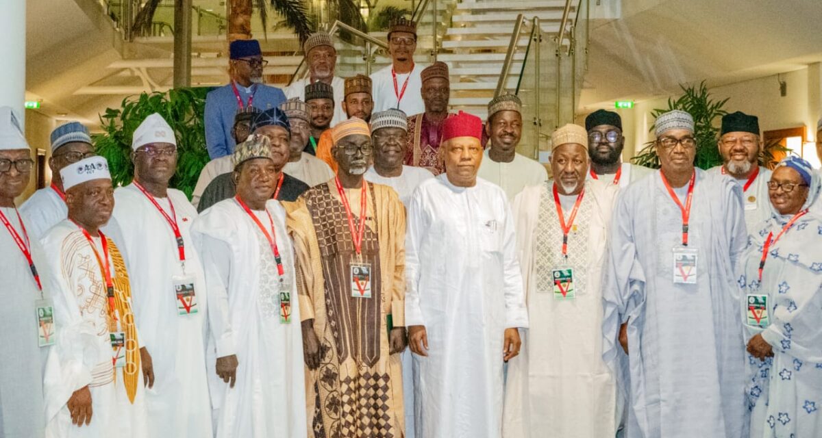 You have nothing to fear if Tinubu wins Second Term