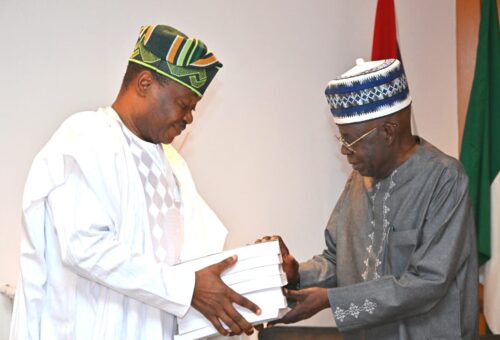 Nigeria’s Permanent Representative presents bn UN budget to Tinubu
