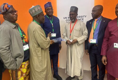 Nigeria’s environment minister arrives Armenia for biodiversity talks