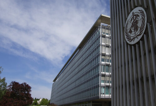 Non-communicable diseases caused 74% of global deaths in 2023