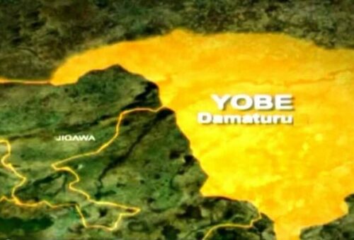 Traders Seek Yobe Govt’s Support Over Rising Business Costs