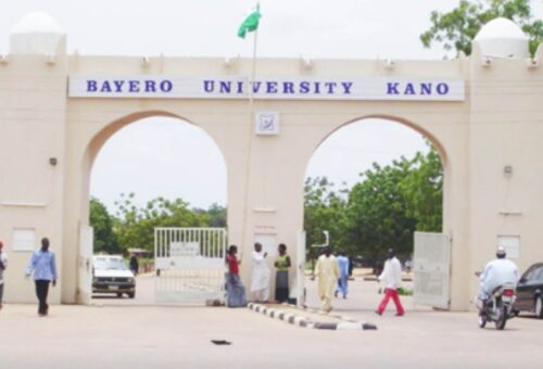 Bayero University promotes 54 staff to Professors – Daily Trust