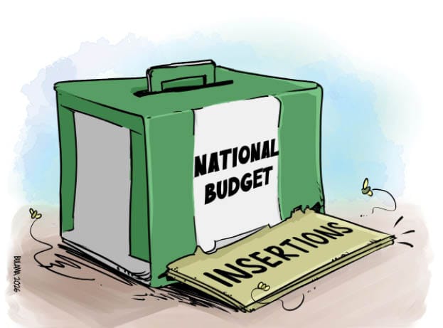 Experts Warn Against New Appropriations Without Accounting for Previous Budgets – Daily Trust