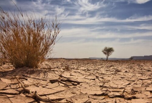 Experts urge youths to stop activities that worsen climate change