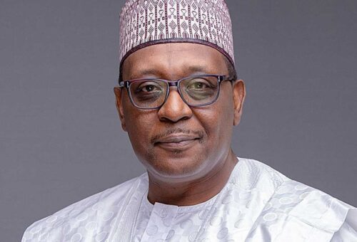 We are working to contain Ebola spread – FG – Daily Trust
