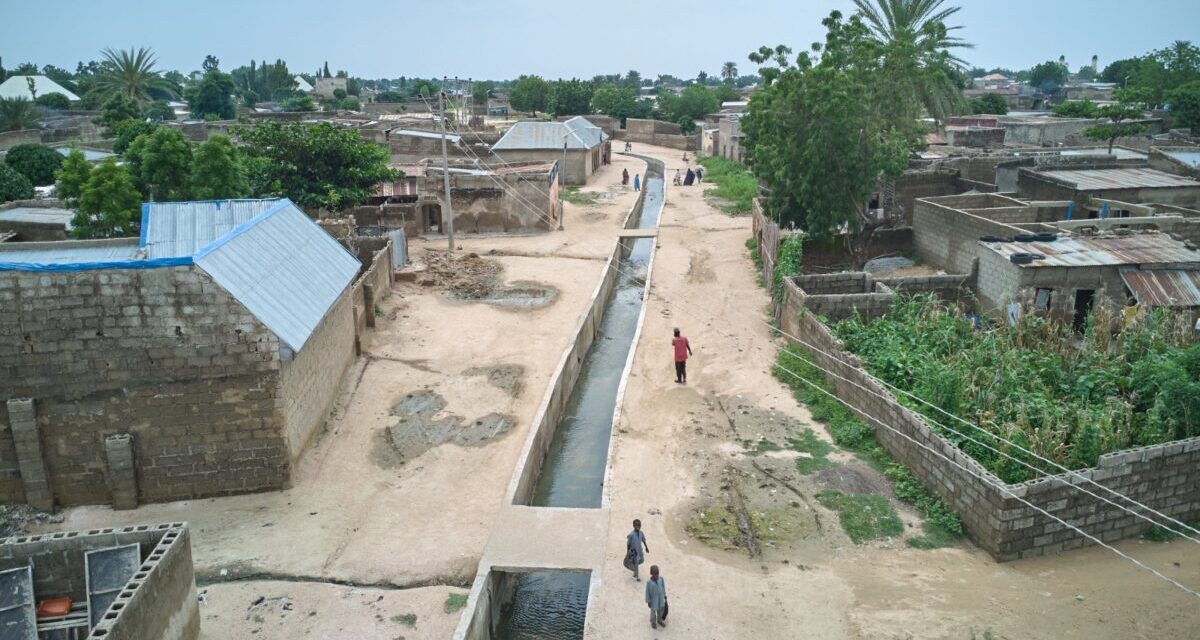 Arewa Revival Project Backs Tinubu, Hails Kano Irrigation Projects