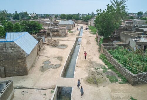 Arewa Revival Project Backs Tinubu, Hails Kano Irrigation Projects
