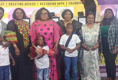 Foundation Offers 10 Free IVF Slots as Over 150 Families Seek Assistance – THISDAYLIVE