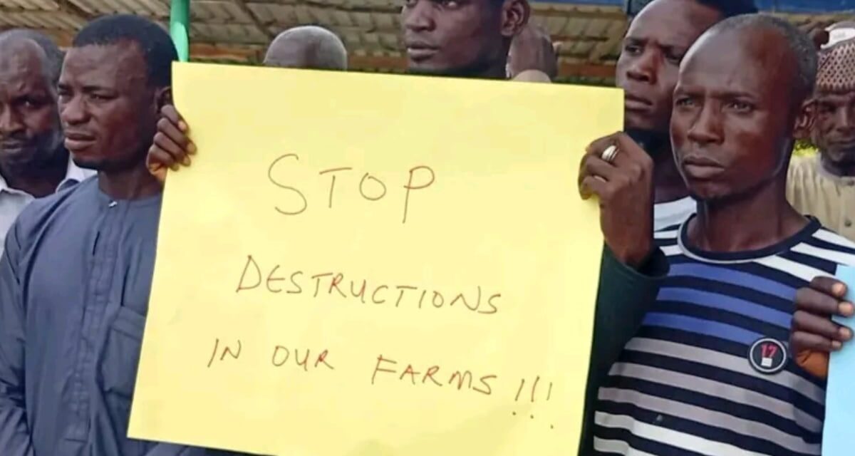 Adamawa LG farmers protest alleged destruction of farms by herders