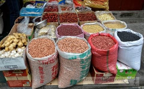 NEC endorses 90-day plan to ease cost of living – Daily Trust