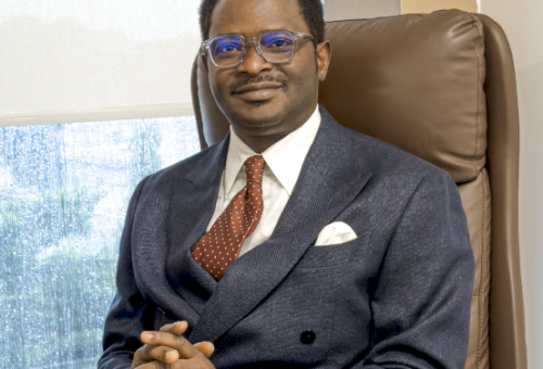 Tope Adebayo’s Blueprint for Land of Opportunity – THISDAYLIVE