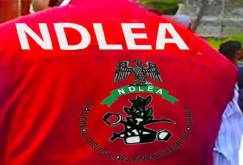 NDLEA Arrests 1,860 suspects, seizes 5.4 tonnes of drugs – Daily Trust