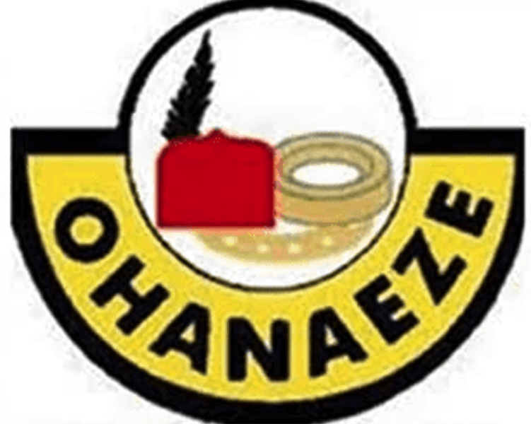 Ohanaeze Chieftain Wants Court Cases Resolved Before Bayelsa Event – THISDAYLIVE