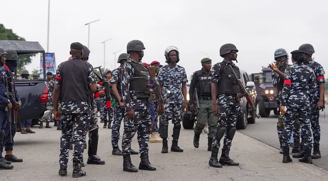 Police Arrest 95 Suspected Cultists, Recover Guns – Daily Trust