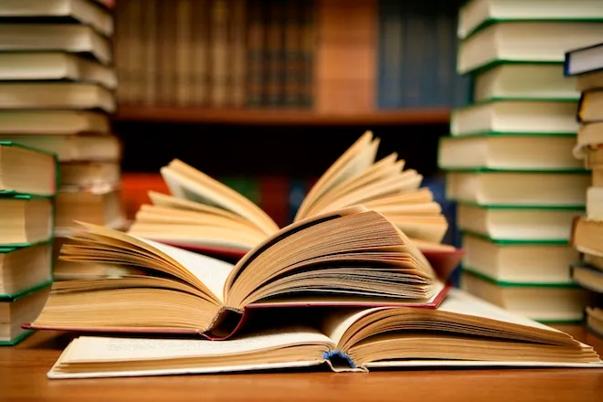 Korean Literature Sparks New Reading Conversations In Abuja