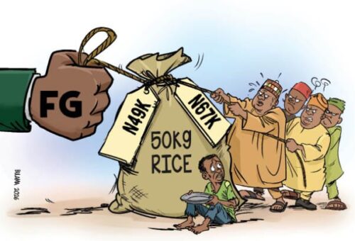 Inside the rice price dispute – Daily Trust