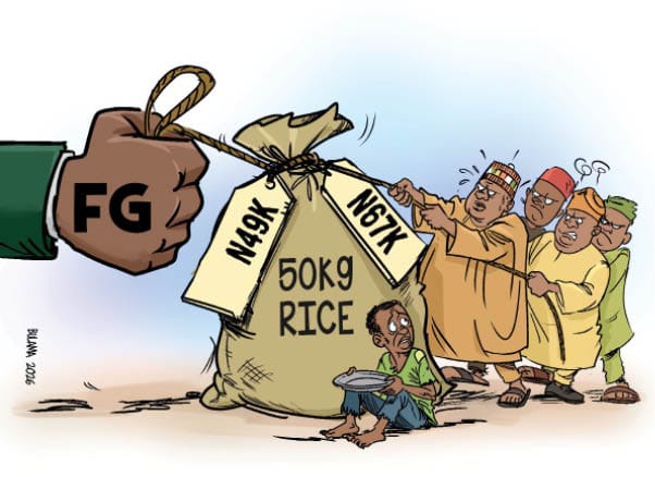 Inside the rice price dispute – Daily Trust