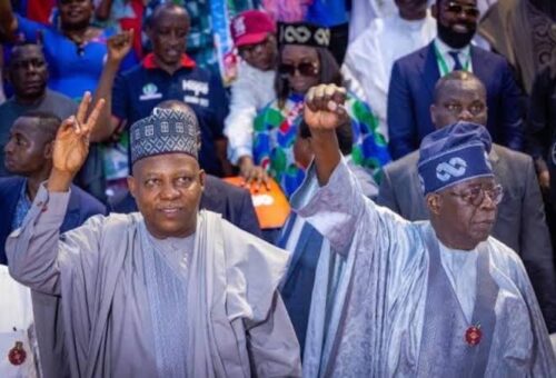 Northern Group Backs Tinubu’s Re-election, Hails Kaduna Rally