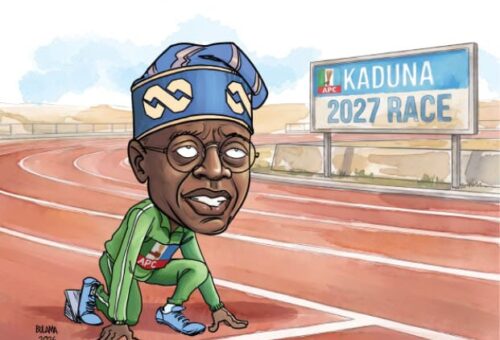 Tinubu’s northern test begins – Daily Trust